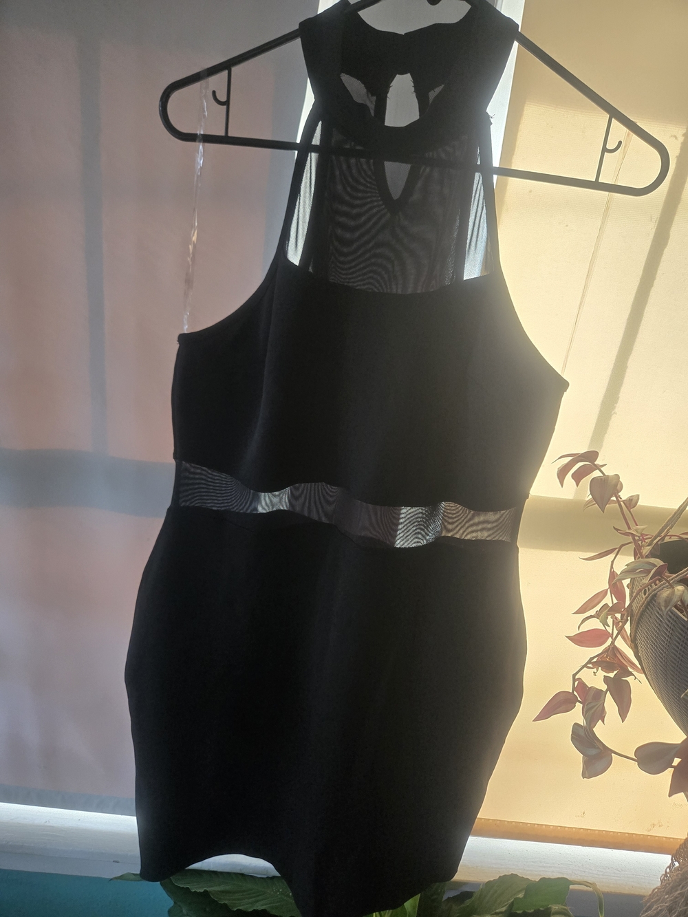 Fashion Nova Black Mini Dress with Sheer Mesh Panels